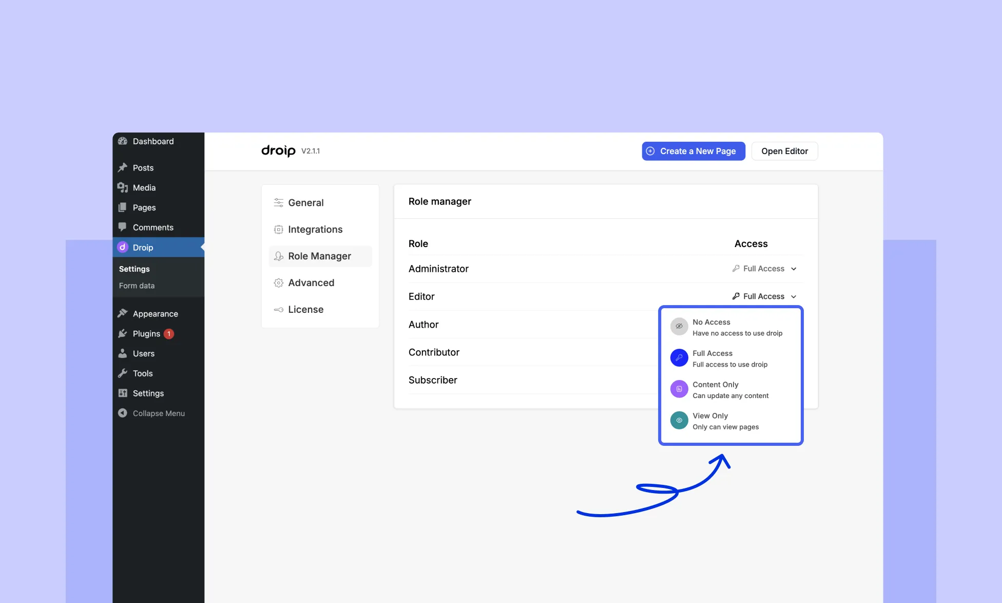Different Access Levels in Droip Role Manager