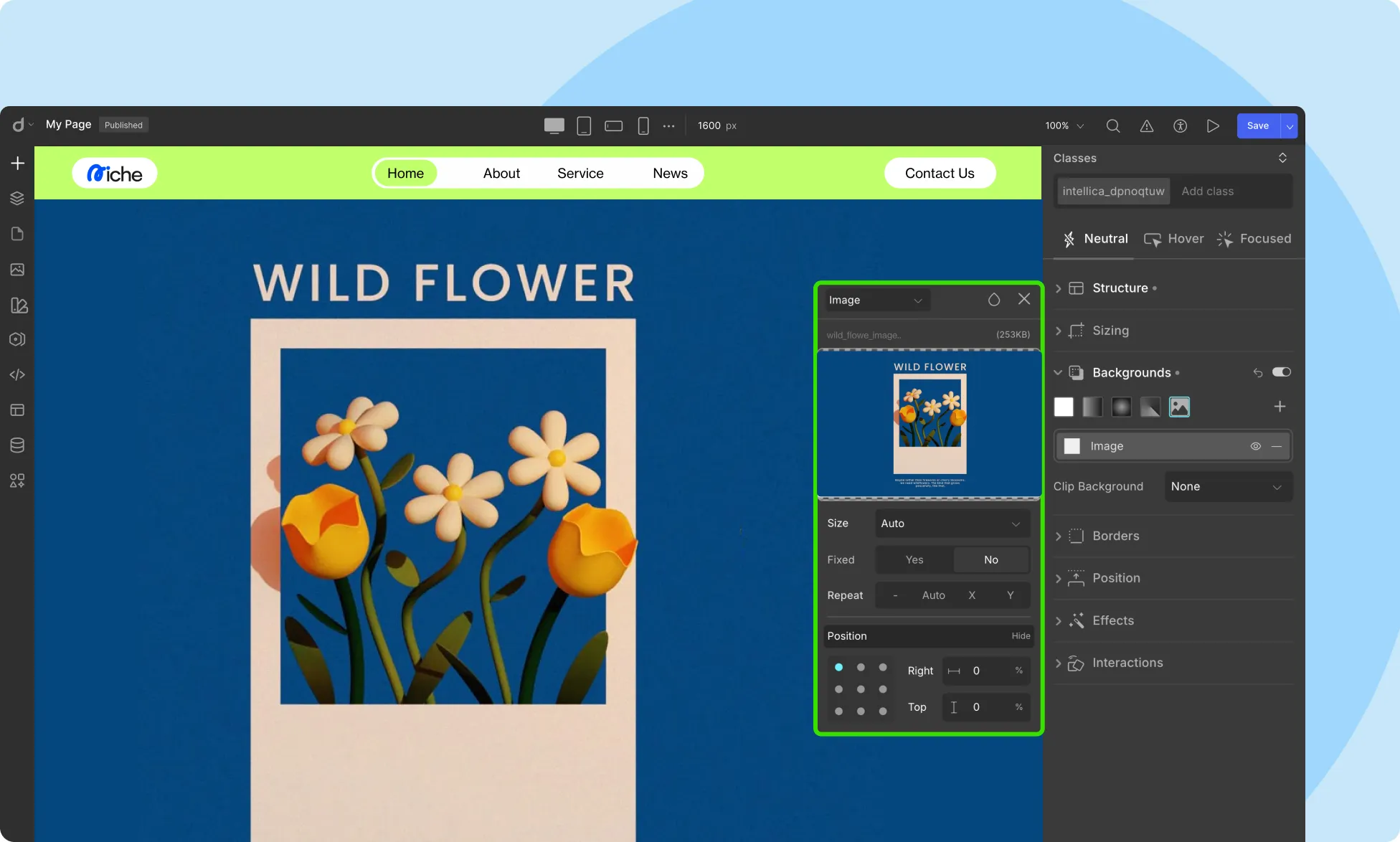 Image Background in Droip