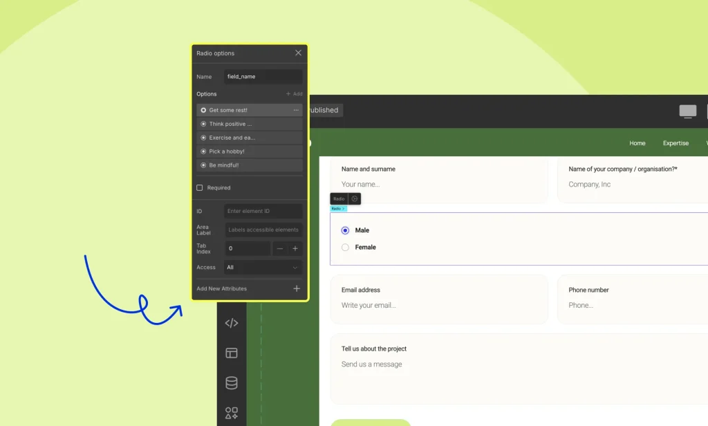 Customizing Radio Button