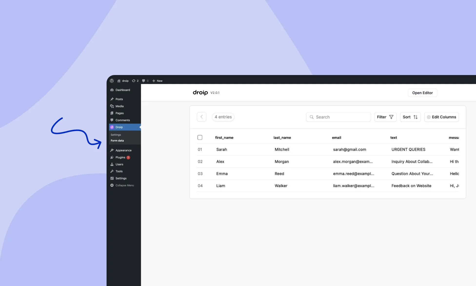 Accessing Form Data Manager in Droip