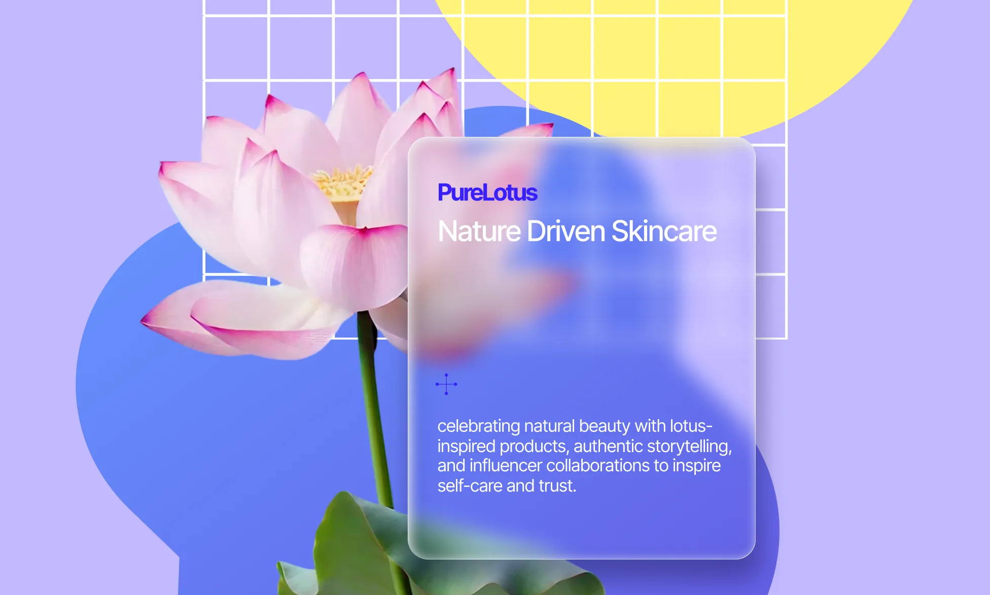 Glass Effect in Droip